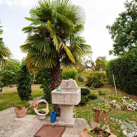 Holiday Sun Garden