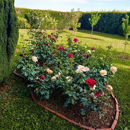 Holiday Sun Garden 펜션
